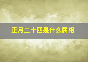 正月二十四是什么属相