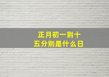 正月初一到十五分别是什么日