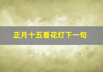 正月十五看花灯下一句