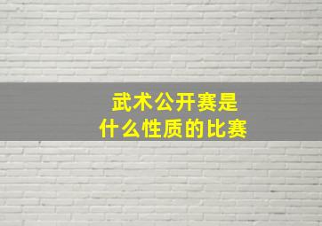 武术公开赛是什么性质的比赛