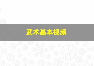 武术基本视频