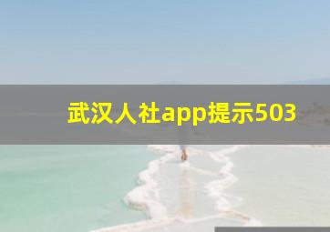 武汉人社app提示503