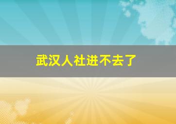 武汉人社进不去了