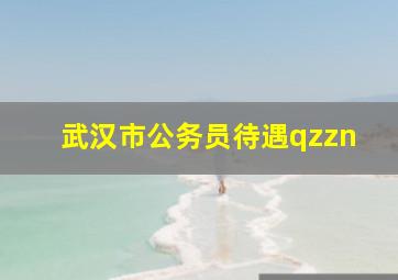 武汉市公务员待遇qzzn