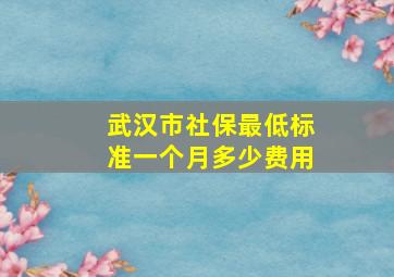 武汉市社保最低标准一个月多少费用