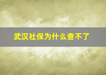 武汉社保为什么查不了