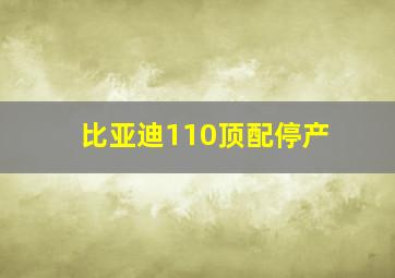 比亚迪110顶配停产