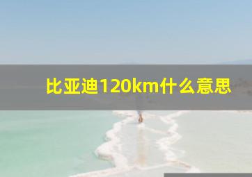 比亚迪120km什么意思