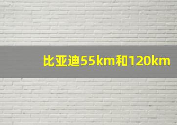 比亚迪55km和120km