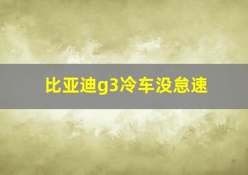 比亚迪g3冷车没怠速