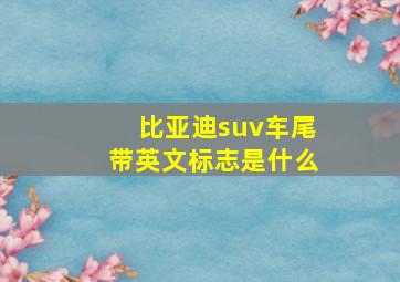 比亚迪suv车尾带英文标志是什么