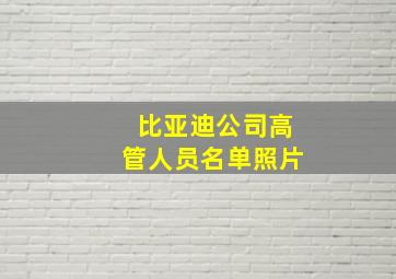 比亚迪公司高管人员名单照片