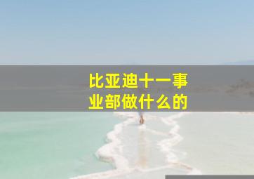 比亚迪十一事业部做什么的