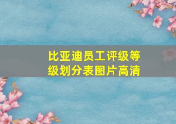 比亚迪员工评级等级划分表图片高清