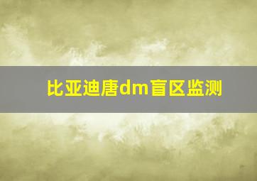 比亚迪唐dm盲区监测