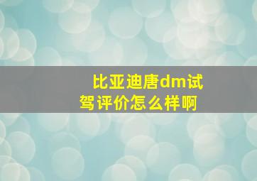 比亚迪唐dm试驾评价怎么样啊