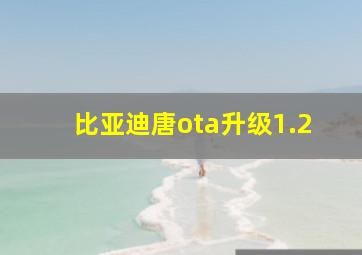 比亚迪唐ota升级1.2