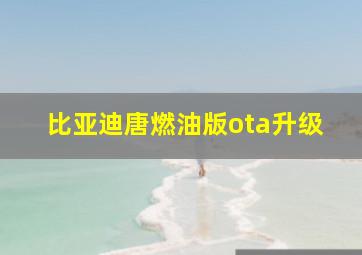 比亚迪唐燃油版ota升级