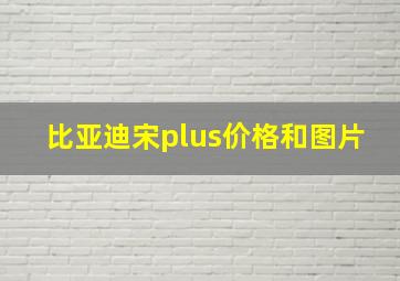 比亚迪宋plus价格和图片