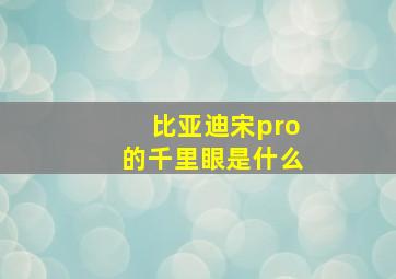 比亚迪宋pro的千里眼是什么