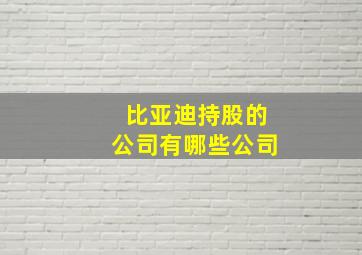 比亚迪持股的公司有哪些公司