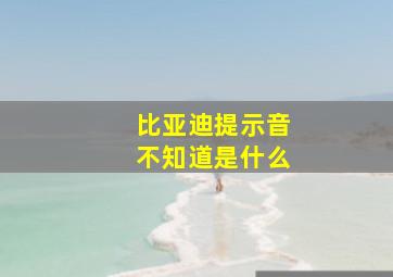 比亚迪提示音不知道是什么