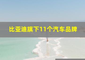 比亚迪旗下11个汽车品牌