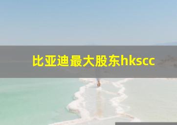 比亚迪最大股东hkscc