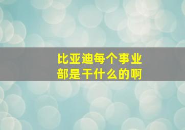 比亚迪每个事业部是干什么的啊