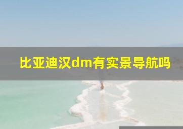 比亚迪汉dm有实景导航吗