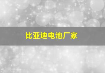 比亚迪电池厂家