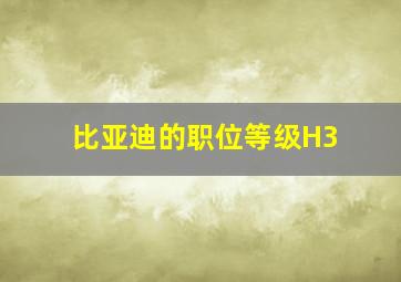 比亚迪的职位等级H3