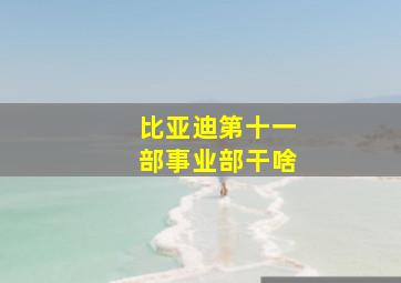 比亚迪第十一部事业部干啥