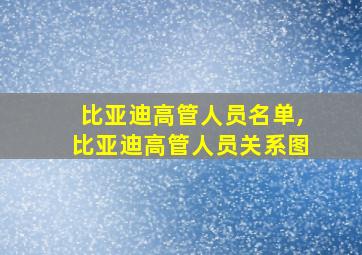 比亚迪高管人员名单,比亚迪高管人员关系图