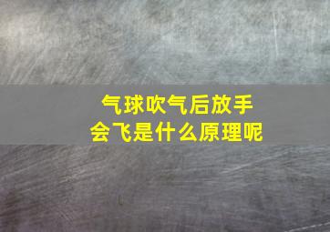 气球吹气后放手会飞是什么原理呢