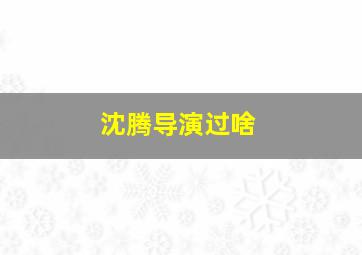 沈腾导演过啥