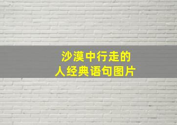 沙漠中行走的人经典语句图片