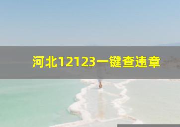 河北12123一键查违章