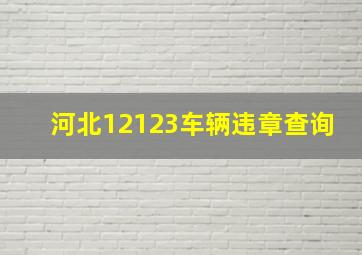 河北12123车辆违章查询