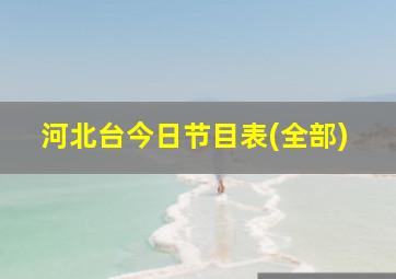 河北台今日节目表(全部)