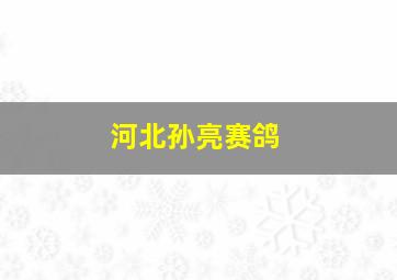 河北孙亮赛鸽