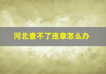 河北查不了违章怎么办