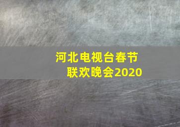 河北电视台春节联欢晚会2020