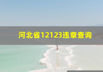 河北省12123违章查询