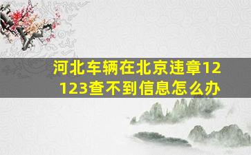 河北车辆在北京违章12123查不到信息怎么办