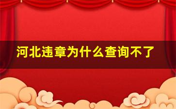 河北违章为什么查询不了