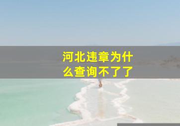 河北违章为什么查询不了了