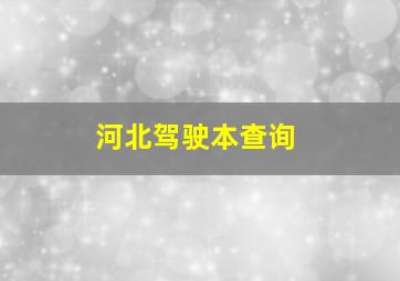 河北驾驶本查询