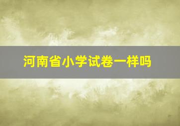 河南省小学试卷一样吗