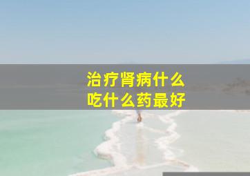 治疗肾病什么吃什么药最好